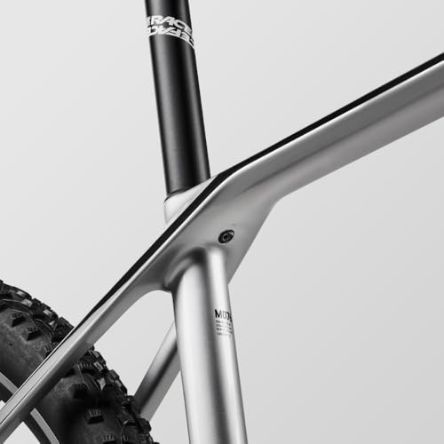 Canyon Exceed CF 5, Real Raw, Medium - Image 2