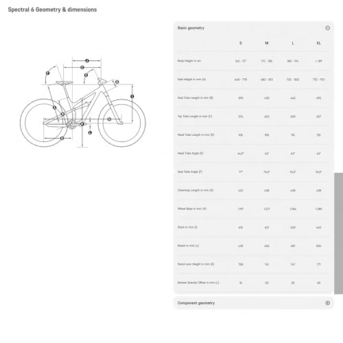 Canyon Spectral 6, Raw'kn'Roll, Medium - Image 11