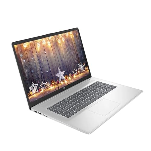 HP 17.3" Touchscreen Business & Student Laptop Computer, 64GB RAM 2TB SSD, AMD Ryzen 5, 1600 x 900 Display, Windows 11, PLUSERA Earphones, Silver - Image 3