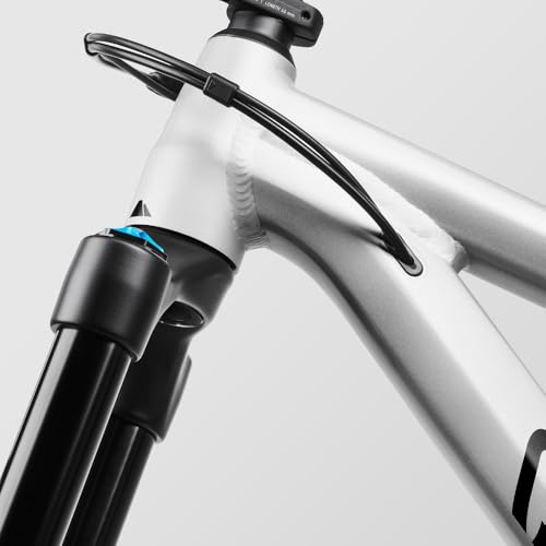 Canyon Spectral 6, Raw'kn'Roll, Medium - Image 5