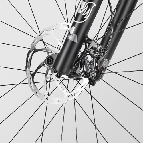 Canyon Spectral 6, Raw'kn'Roll, Medium - Image 8