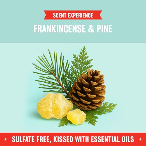 Rebel Green Natural All-Purpose Cleaning Spray - Plant-Derived Multi-Surface Cleaner with Essential Oils for Kitchen, Bath, Countertops and More - Frankincense - 16 oz - 2 Pack - Image 4