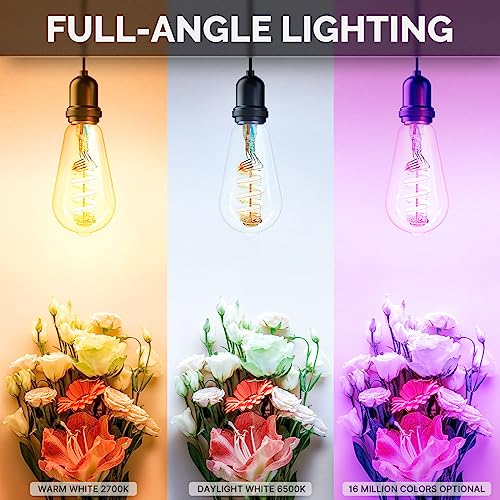 MOES Smart ST64 Edison LED Light Bulbs, Color Changing WiFi ST21 Smart Bulbs, 2700K-6500K CW& RGB Dimmable, Smart Life Remote Control, Work with Alexa/Google Home, 470lm 5W (40W Equivalent) 2 Pack - Image 3