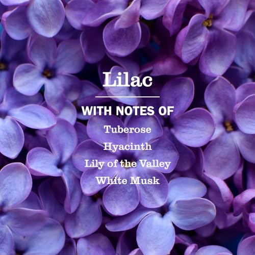 MRS. MEYER\'S CLEAN DAY Multi-Surface Everyday Cleaner, 16.0 Fluid Ounce - Image 3