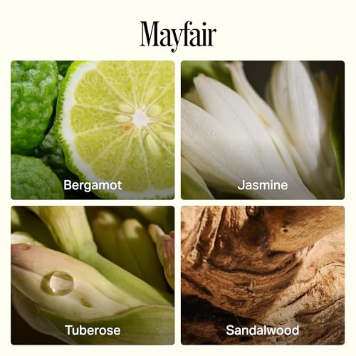 Preston Lane Luxury All-Purpose Cleaner, Mayfair Scent | Bio-Based Multi-Surface Spray | Streak-Free Finish, Lifts Dirt, Smudges & Grease | Vegan & Cruelty-Free - Image 6