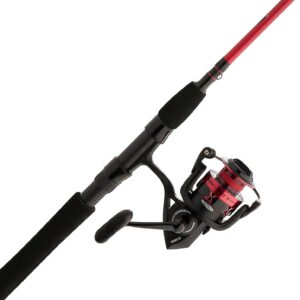Penn Fierce IV Spinning Reel and Fishing Rod Combo