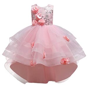 EnJoCho 4 to 13 Years Baby Girls Dress Toddler Kids Girl Dress Summer Sleeveless Flower Dress Catwalk (Pink, 12-13 Years)