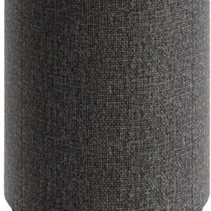 Audio Pro A10 MKII Wireless Multiroom Speaker, WiiM Edition | High Fidelity, Bluetooth, WiFi | Compatible with AirPlay 2, Google Cast, Siri, WiiM Home App, Stream Spotify, Tidal & More, Dark Gray