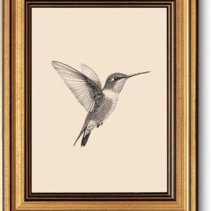 VIYYIEA Vintage Gold Framed Wall Art for Living Room, Birds Canvas Prints Home Decor, Sketch Painting Picture, Bedroom Wall Decor Gifts for Friends or Family -【Hummingbird】-(10L x 8W)