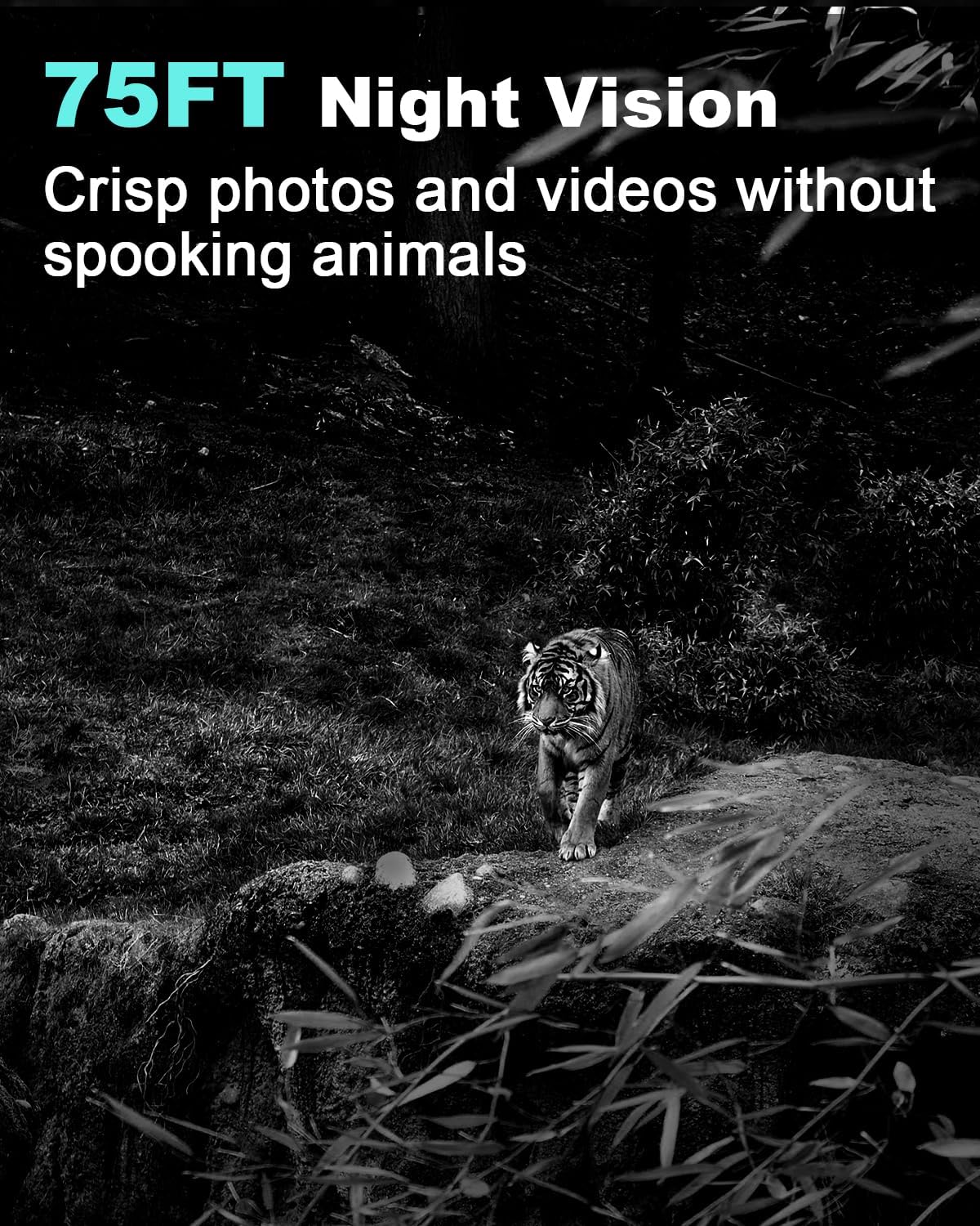 KJK Trail Camera 36MP 2.7K, Mini Game Camera with Night Vision 0.1s Trigger Time Motion Activated 130°Wide-Angle, Waterproof Trail Cam with 2.0” HD TFT Screen, Hunting Camera for Wildlife Monitoring - Image 2