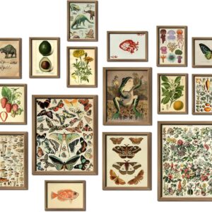16 PCS Framed Vintage Wall Art Decor, Botanical Cottagecore Wall Prints for Bedroom, Gallery Wall Frame Set, Farmhouse Posters for Living Room Aesthetic, Rustic Dorm Home Collage Kit