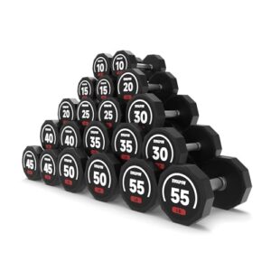 EVOLPOW Decagon Dumbbell Sets for Workout, Body Building Home Gym Gear, Hand Weights With Anti-Slip 10-650 LBS Pair/Set
