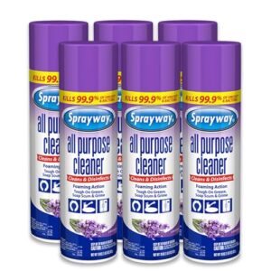 Sprayway All Purpose Cleaner with Lavender Scent, 19oz, Pack of 6 | Foaming Action, Clean, Disinfect, Deodorize | Tough on Grease, Soap Scum, Grime | EPA Approved, Kills 99.9% of Viruses & Bacteria