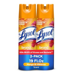 Lysol Disinfectant Spray, Sanitizing and Antibacterial Spray, For Disinfecting and Deodorizing, Mango & Hibiscus, 19 Fl. Oz (Pack of 2)