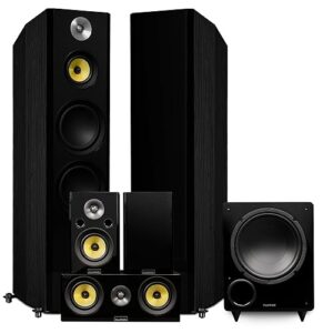 Fluance Signature HiFi Surround Sound Home Theater 5.1 Channel Speaker System Including 3-Way Floorstanding Towers, Center Channel, Rear Surround Speakers and DB10 Subwoofer – Black Ash (HF51BR)