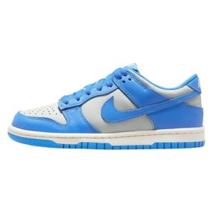 Nike Dunk Low Big Kids’ Shoes (FB9109-004, Light Silver/Sail/Light Photo Blue) Size 4.5