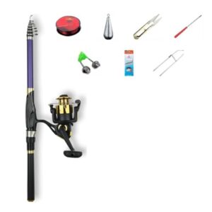 Fishing Rod Set Retractable and Reel Combo Carp Portable Hand Pole Accessories for Freshwater ()