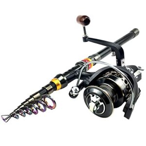 Telescopic Fishing Rod 1.8-3.6m Telescopic Fishing Rod and 11BB Fishing Reel Wheel Portable Travel Fishing Rod Spinning Fishing Rod Combo Outdoors Fishing Pole (Bundles : 2.1M Rod with BK2000) (()