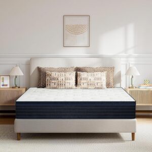 King Mattress, 11 Inch Hybrid Mattress in a Box, Medium Firm, Memory Foam, Pressure Relief, Motion Isolation, Made in USA, CertiPUR-US Certified