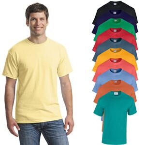 Gildan Men’s Heavy Cotton Short Sleeve T-Shirt, Style G500, Multipack of 1|2|4|6|10, Make Your Own Customized Set! SETOF-10-3XL Multicolor