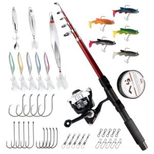 Fishing Rod, Telescopic Sea Fishing Rod & 4000 Spinning Reel Combo with Lure Line
