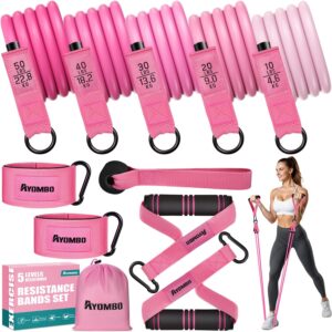 Resistance Bands with Handles for Women, Exercise Bands Set for Physical Therapy Yoga Pilates, 5 Level Workout Bands for Working Out with Door Anchor, Home Gym Fitness Equipment