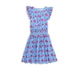 Vineyard Vines Girls’ Delia Dress (Toddler/Little Big Kid), Floral Serenity Blue