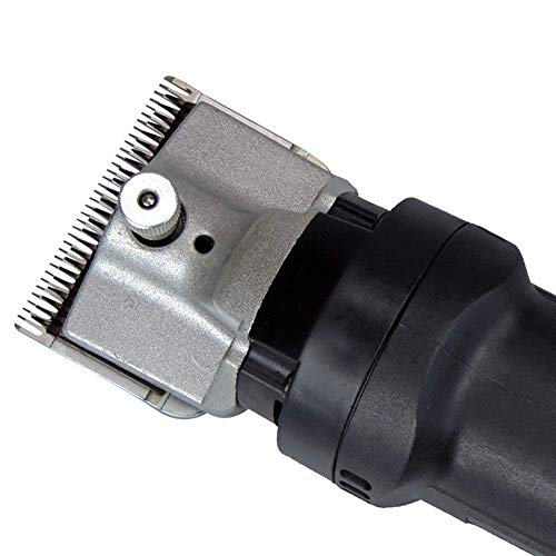 JKSVTF Hair Care Trimmer Professional Pet Grooming Heavy Duty Clipper Kit Electric Clipper 6 Speeds Shaving Thick Coats Fur Hair Large/Medium Dogs Horses Horses - Image 5