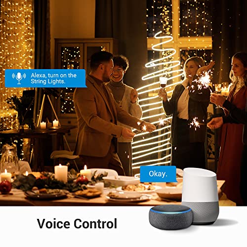 DEWENWILS WiFi Outdoor Outlet Timer, Smart Yard Stake Plug with 6 Outlets, Outdoor Extension Cord 25FT - Image 4