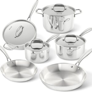 Duxtop Whole-Clad Tri-Ply Stainless Steel Induction Cookware Set, 10PC Kitchen Pots and Pans Set