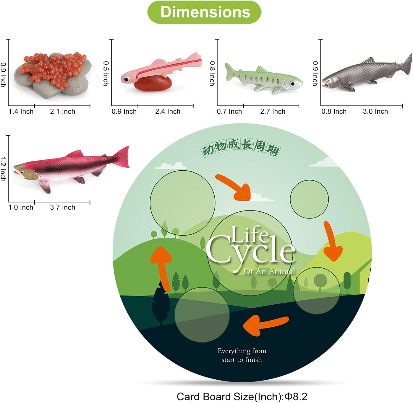 Volnau Animal Figurines Toys 17PCS Life Cycle Figure Set for Toddlers Kids Salmon Octopus Wolf Spider Mosquito Christmas Birthday Gift Preschool Educational Prop - Image 6