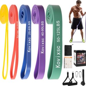 Resistance Bands for Working Out, Pull Up Assistance Bands, Exercise Workout Bands for Men & Women, Gym Bands with Door Anchor & Handle, Stretching Bands for Physical Therapy, Muscle Training