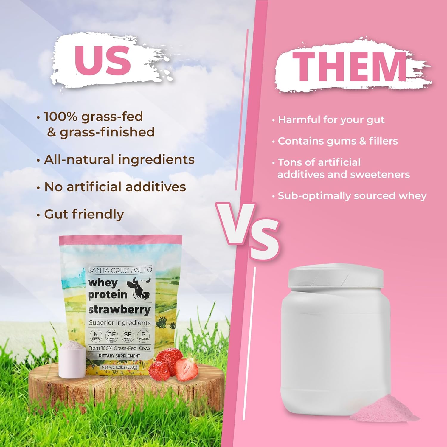 Santa Cruz Paleo Whey Protein Powder, Strawberry, 20g Grass Fed Whey Protein Isolate Per Serving, Gluten Free, Keto, Sugar Free, Paleo, Natural, Post Workout Muscle Support, 20 Servings, 1.2lb Bag - Image 2