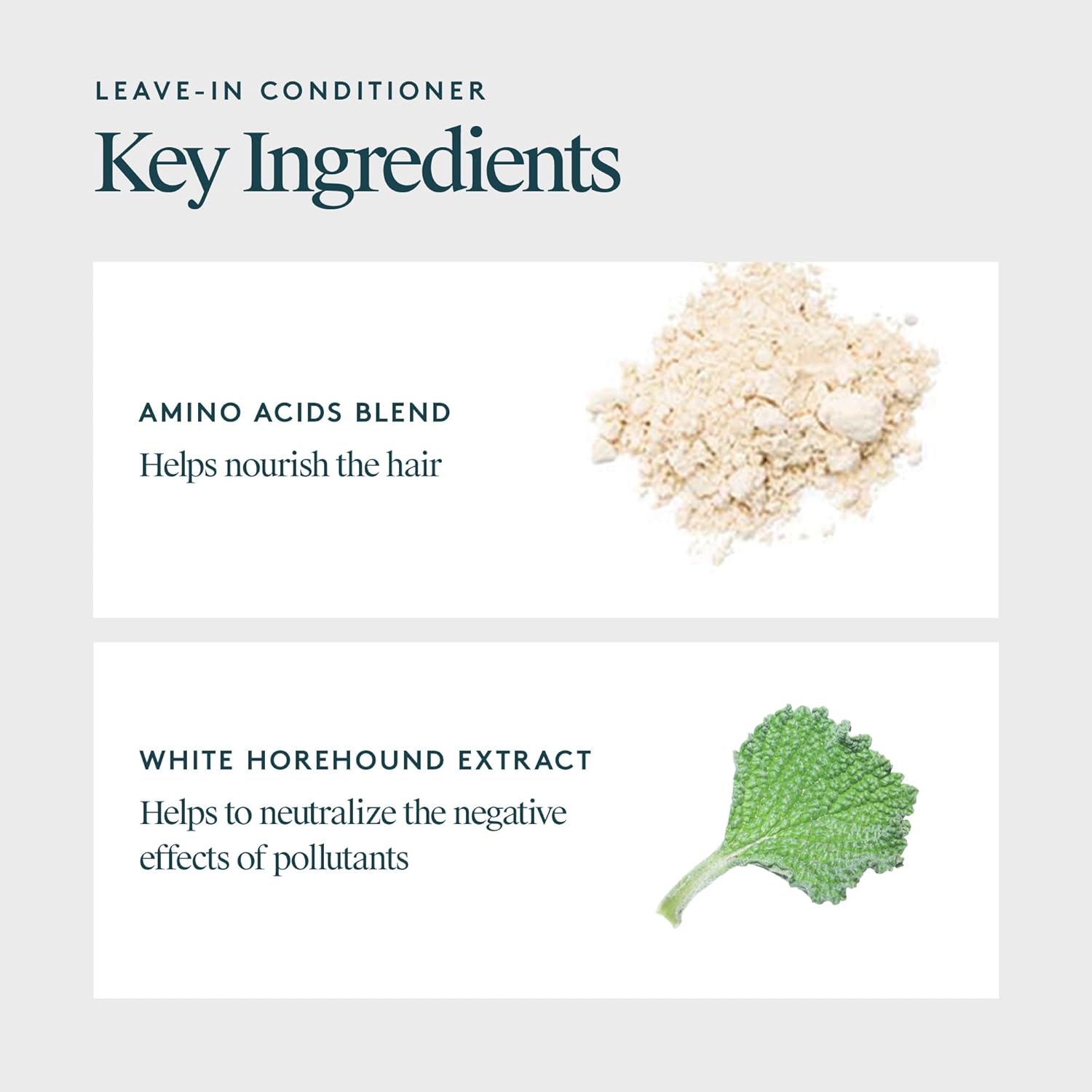 Virtue Purifying Leave-In Hair Conditioner Spray, Reduce Frizz and Split Ends, Detangles and Nourishes, Color Safe, 5 Fl Oz - Image 3