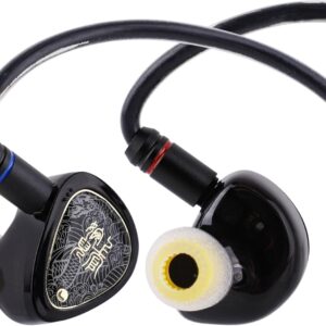 Linsoul TANGZU Wan’er S.G II in Ear Monitor,HiFi Wired Earbuds,10mm Dynamic Driver PET Diaphragm Gaming IEM Earphones with 2Pin Detachable OFC Cable for Audiophile DJ Stage (Clear Black, Typec Mic)