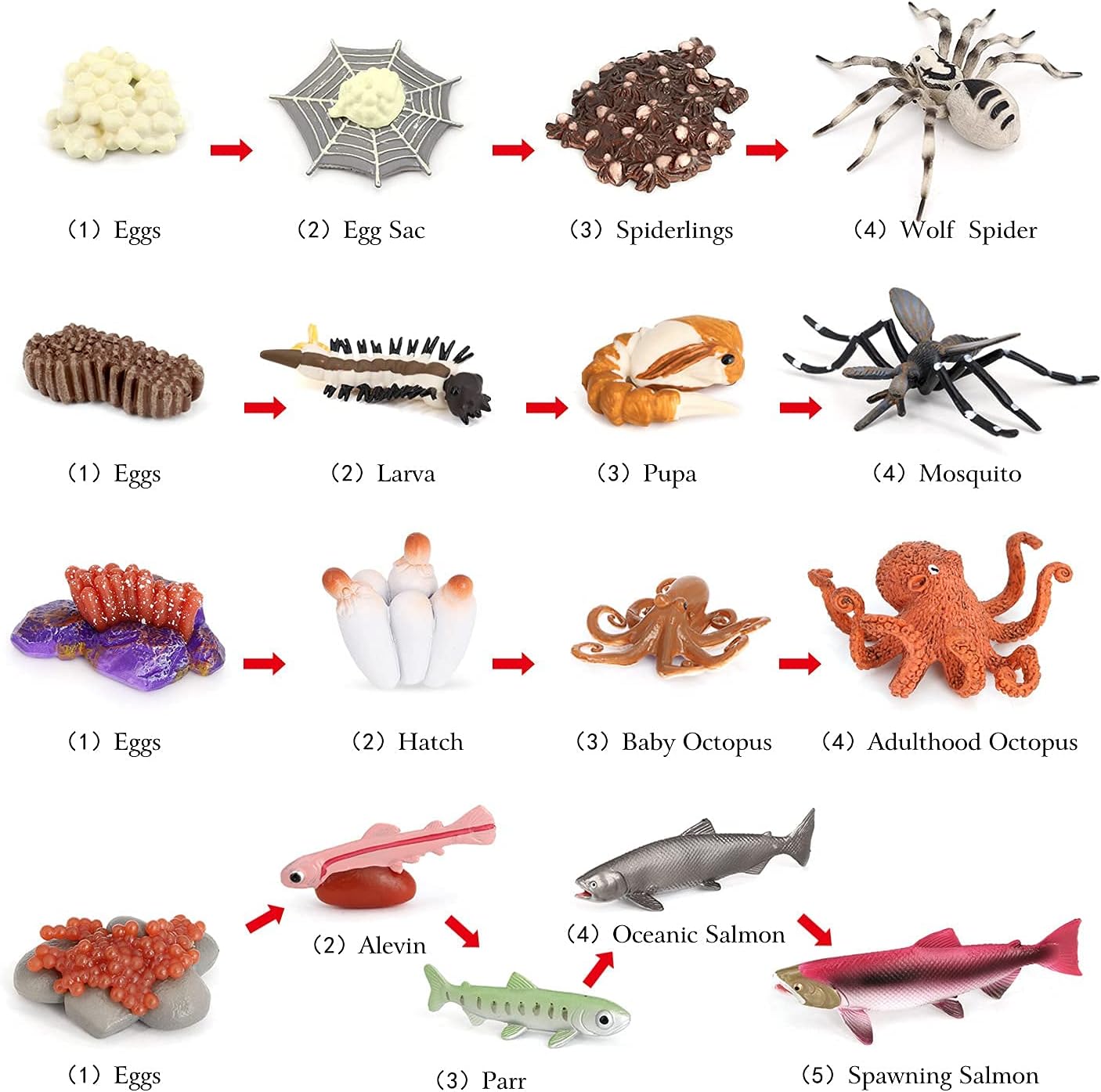 Volnau Animal Figurines Toys 17PCS Life Cycle Figure Set for Toddlers Kids Salmon Octopus Wolf Spider Mosquito Christmas Birthday Gift Preschool Educational Prop - Image 4