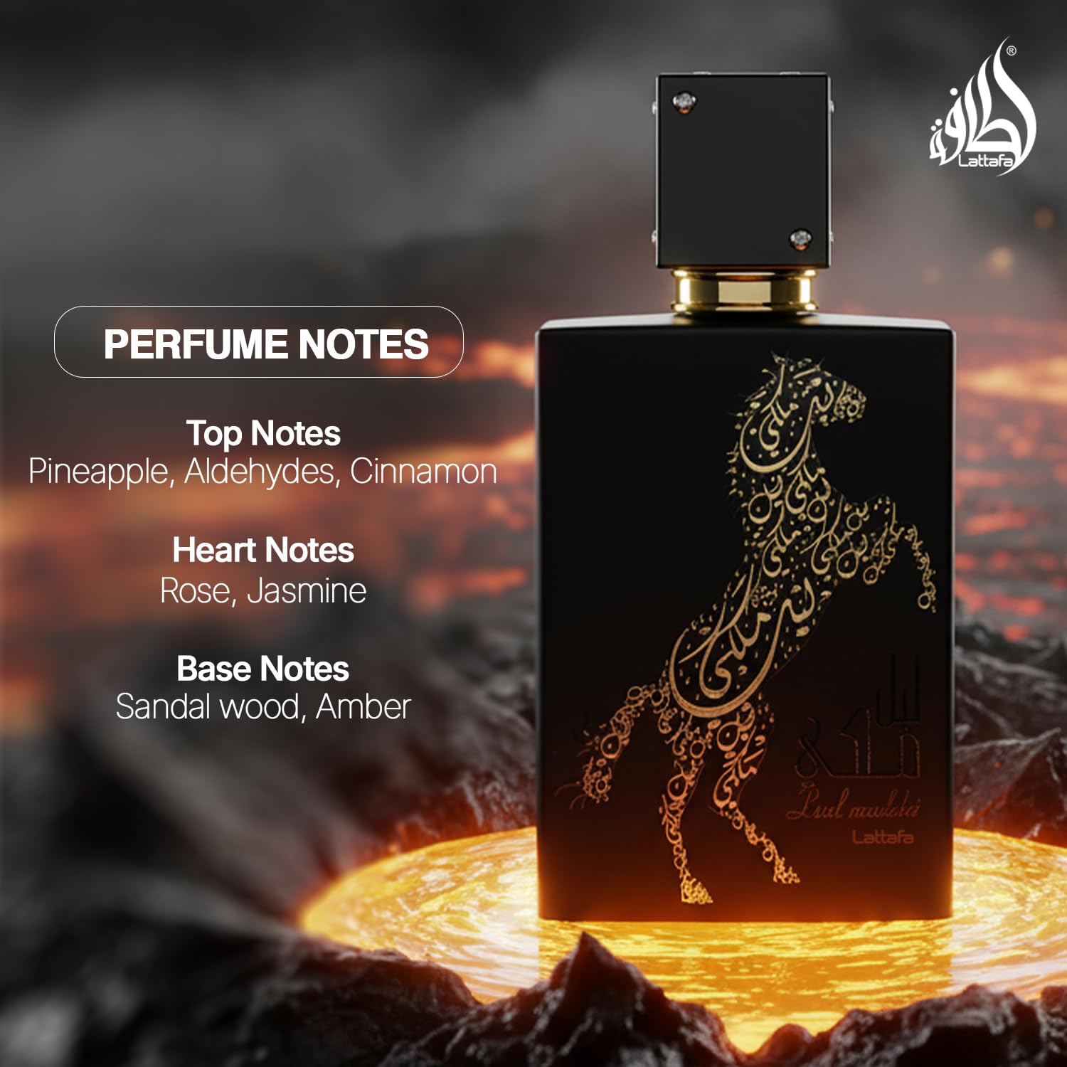 Lattafa Perfumes Lail Maleki for Unisex Eau de Parfum Spray, 3.4 Ounce - Image 4