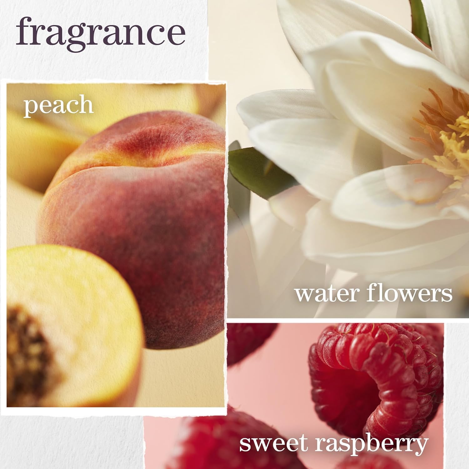 Pureology Strength Cure Shampoo - For Damaged or Color Treated Hair, Hair Strengthening & Prevents Breakage, Seals Split Ends, Vegan & Sulfate-Free - Image 6