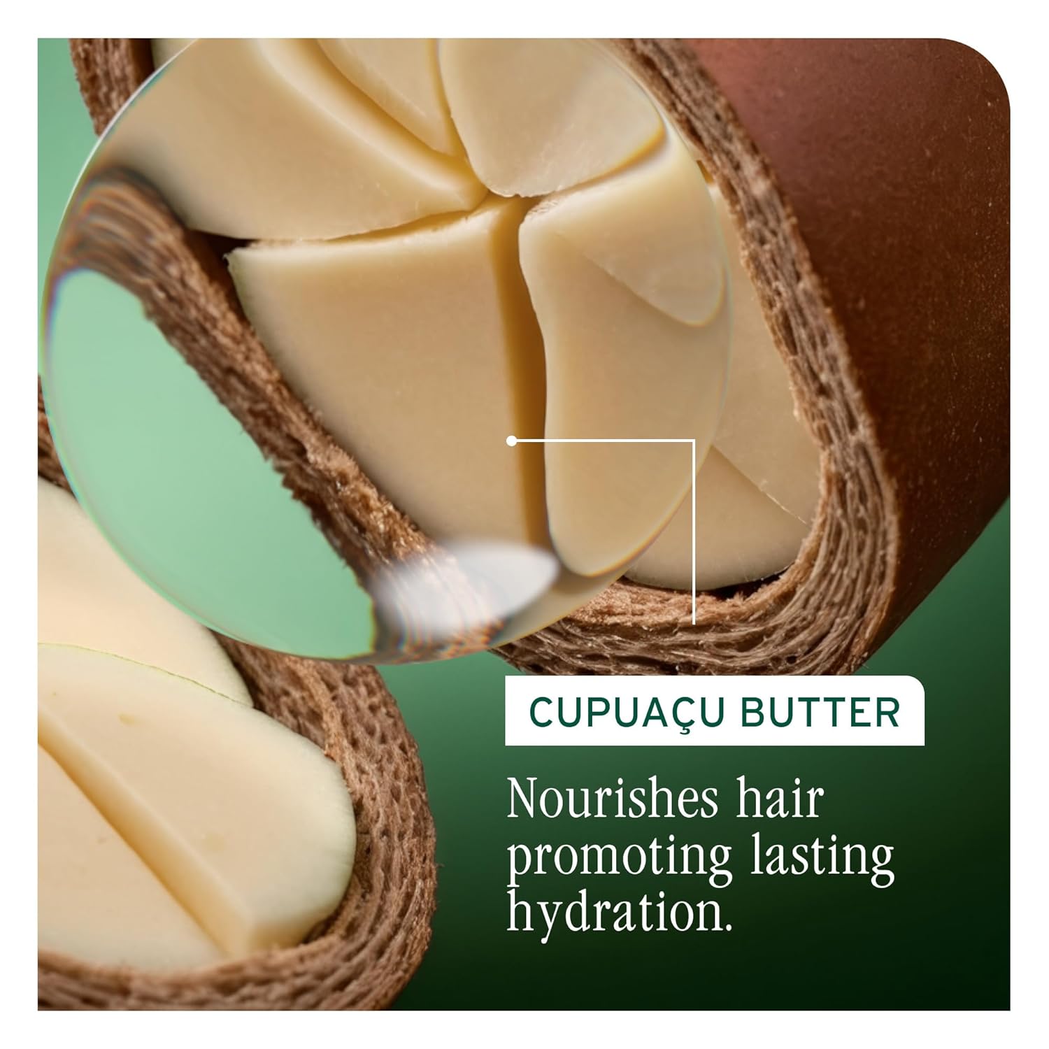 Biolage Ultra Hydra Source Leave-In Cream - Moisturizes & Controls Frizz, For Very Dry, Thick, Hair, Infused with Micro-dosed with Cupuaçu Butter & Salicylic Acid - Image 5