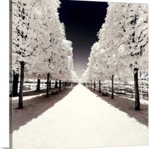 CANVAS ON DEMAND Paris Winter White Collection – Convergence Canvas Wall Art Print by Philippe Hugonnard, Home Decor, Winter, Wintry Weather Artwork,10″ x10in