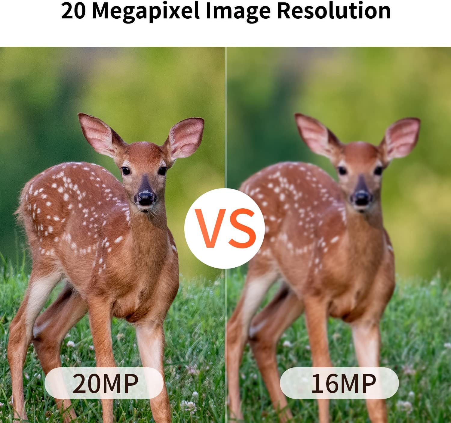 20MP MINI Trail Camera,1080P Hunting Trail Camera with No Glow 940nm Night Vision Motion Activated IP66 Waterproof,80ft Illumination Range Hunting Game Cam for Wildlife Monitoring - Image 5