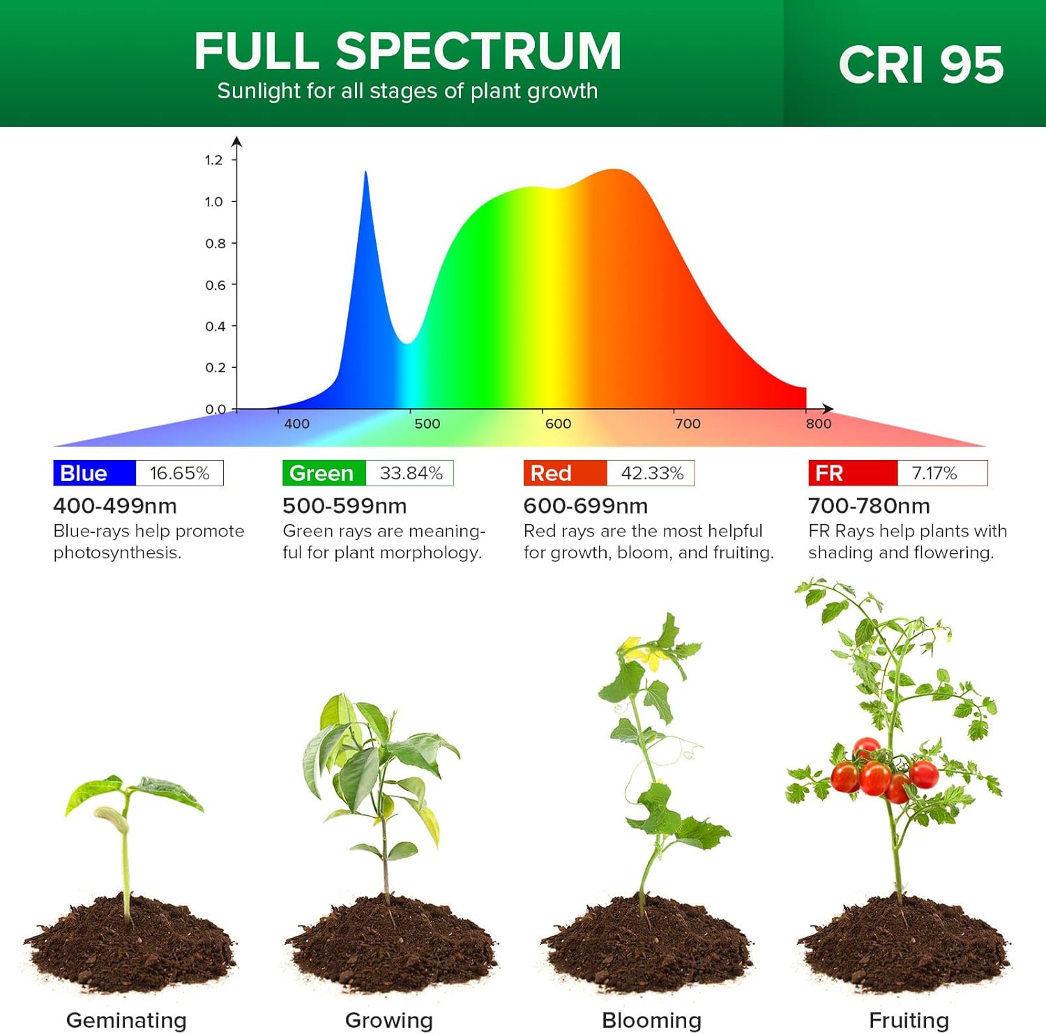 SANSI Grow Lights for Indoor Plants, Full Spectrum 15W Grow Light Bulbs (200 Watt Equivalent) with Optical Lens for High PPFD, 4000K Natural Daylight LED Plant Lights for Indoor Growing Seed Starting - Image 3
