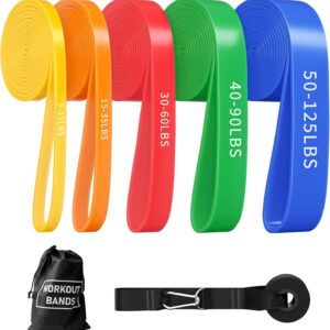 Resistance Bands, Pull Up Bands, Pull Up Assistance Bands Set for Men & Women, Exercise Workout Bands for Working Out, Body Stretching, Physical Therapy, Muscle Training