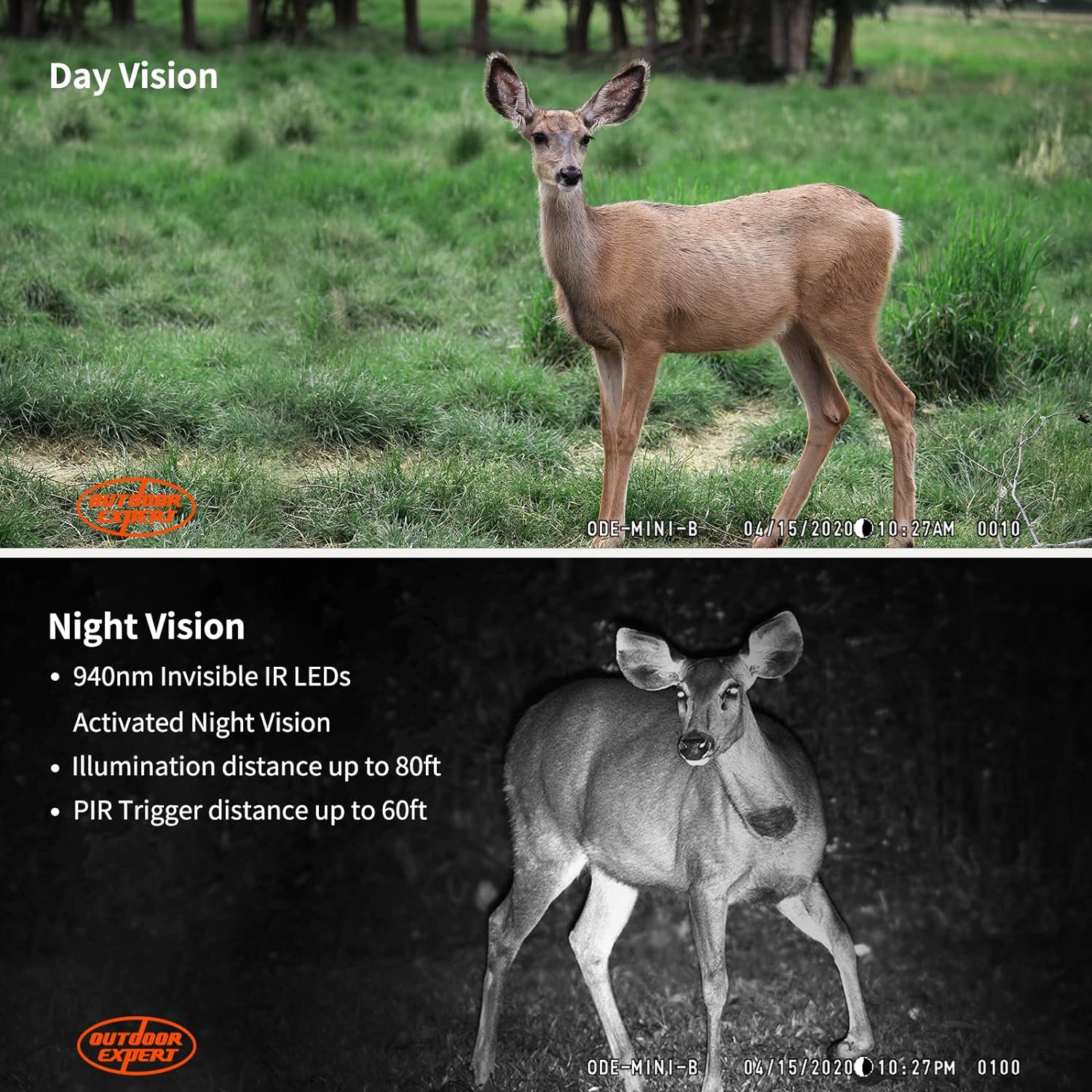 20MP MINI Trail Camera,1080P Hunting Trail Camera with No Glow 940nm Night Vision Motion Activated IP66 Waterproof,80ft Illumination Range Hunting Game Cam for Wildlife Monitoring - Image 6