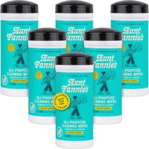 Aunt Fannie’s Natural Cleaning Vinegar Wipes, Multipurpose Surface Cleaner, Bright Lemon Scent, 35 Count (Pack of 6)