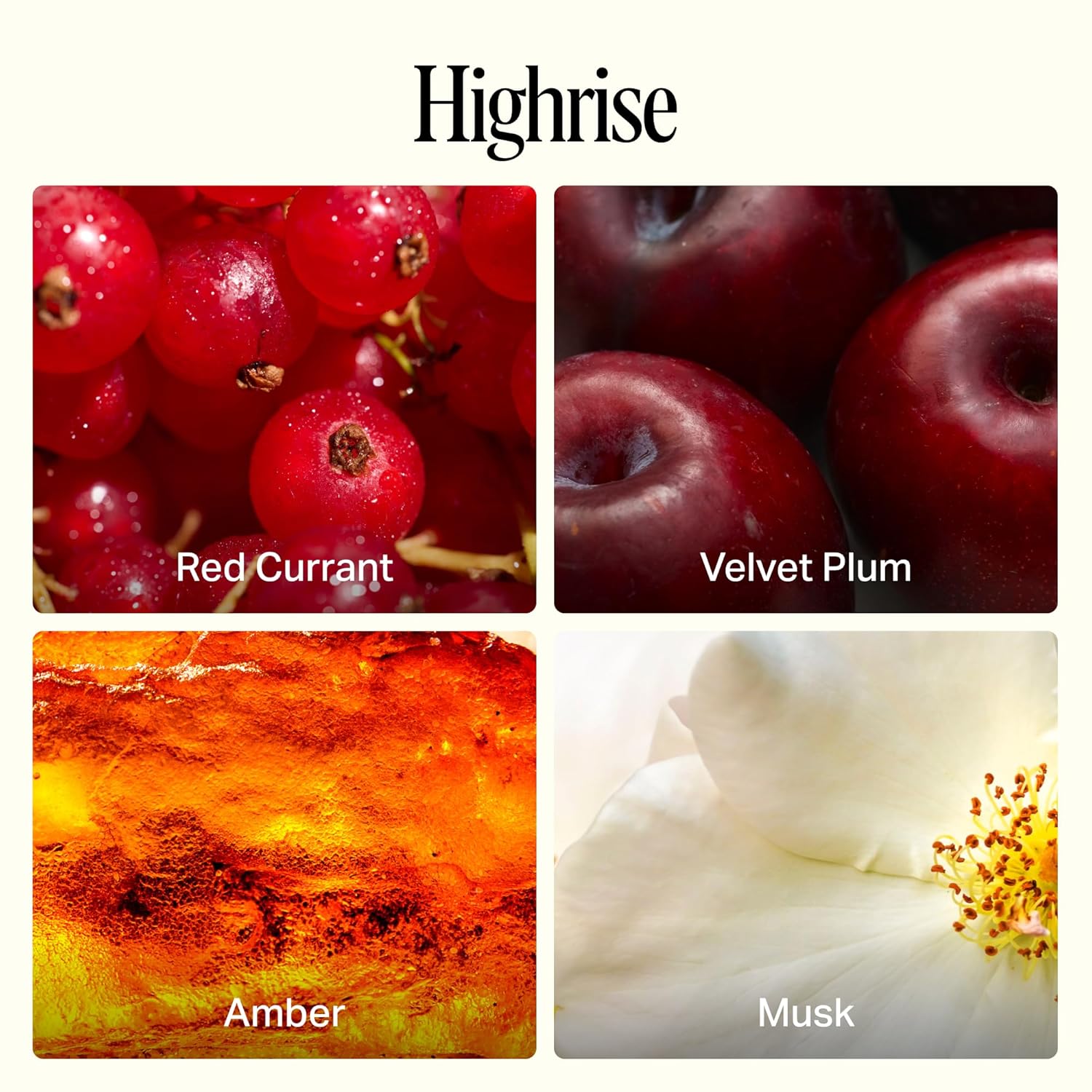 Preston Lane Luxury All-Purpose Cleaner, Highrise Scent | Bio-Based Multi-Surface Spray | Streak-Free Finish, Lifts Dirt, Smudges & Grease | Vegan & Cruelty-Free - Image 6