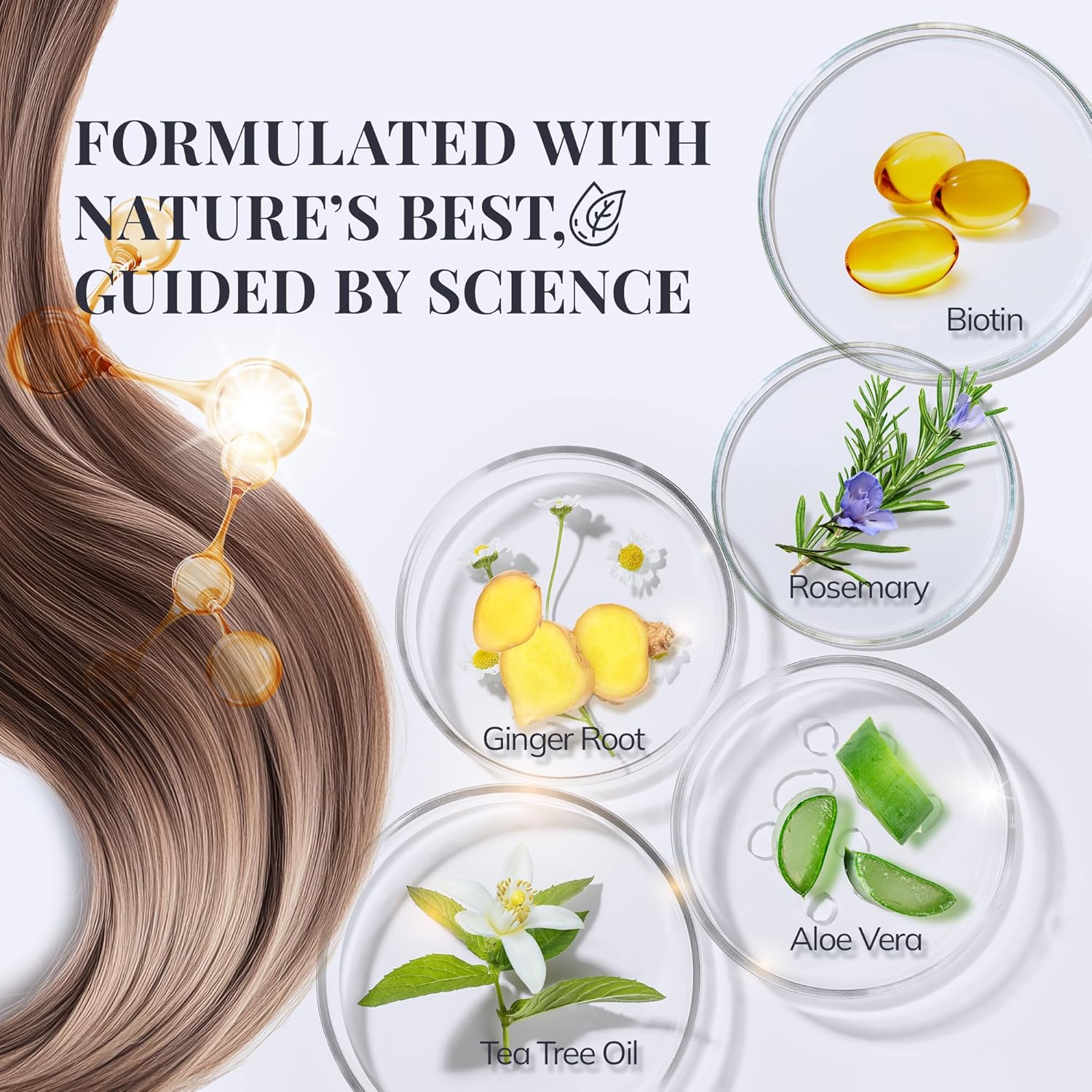 Biotin & Rosemary Shampoo for Hair Growth: Hair Loss Shampoo for Thinning Hair Infused with Nutrient Rich Ingredients for Hair thickening Sulfate Free 10 fl oz - Image 3