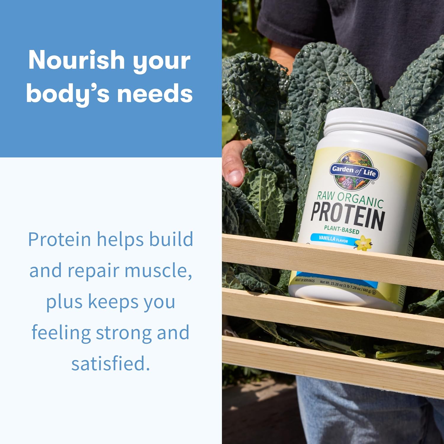 Garden of Life Protein Powder, Vegan Protein Powder, BCAA, Probiotics & Digestive Enzymes, Gluten & Lactose Free, Vanilla, 1.5 LB - Image 4