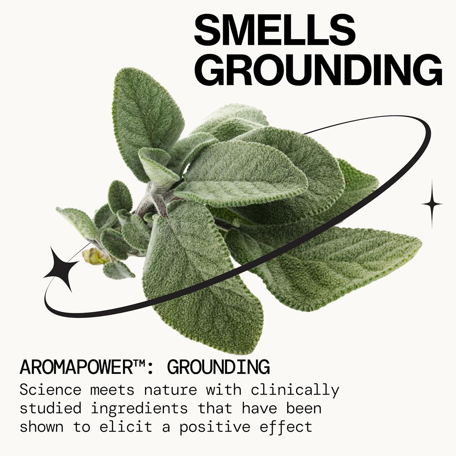 Pacifica Hair Mist Perfume & Full Body Spray for Women - Montana Sky Body Mist Fragrance w/Cedarwood, Elderflower, Black Pepper, Sage & Sandalwood Clean Beauty Alcohol-Free, Vegan & Cruelty-Free 5 oz | for Women, Clean Beauty, Alcohol-Free, Vegan, Cruelty-Free - Image 2