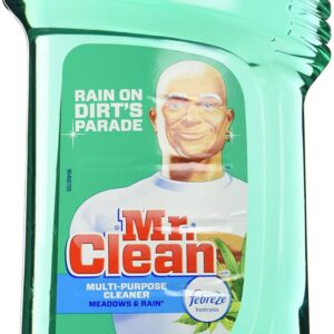 Mr. Clean 40 Ounce